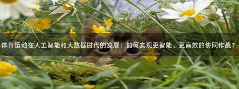 米兰体育登录