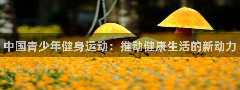 米兰体育综合官网