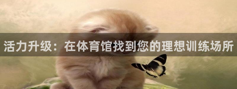 米兰体育网址
