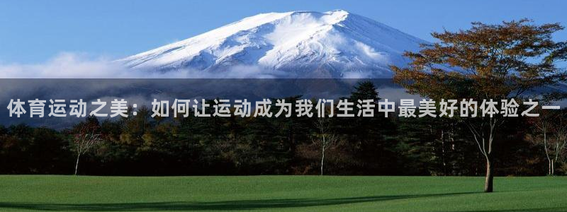 米兰体育网页版